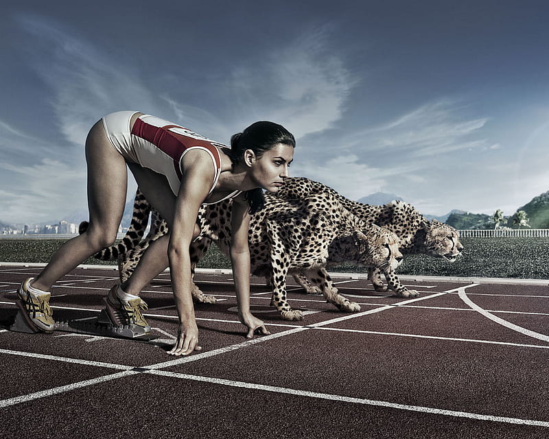 Cheetahs, animal, course, girl, race, speed, HD wallpaper