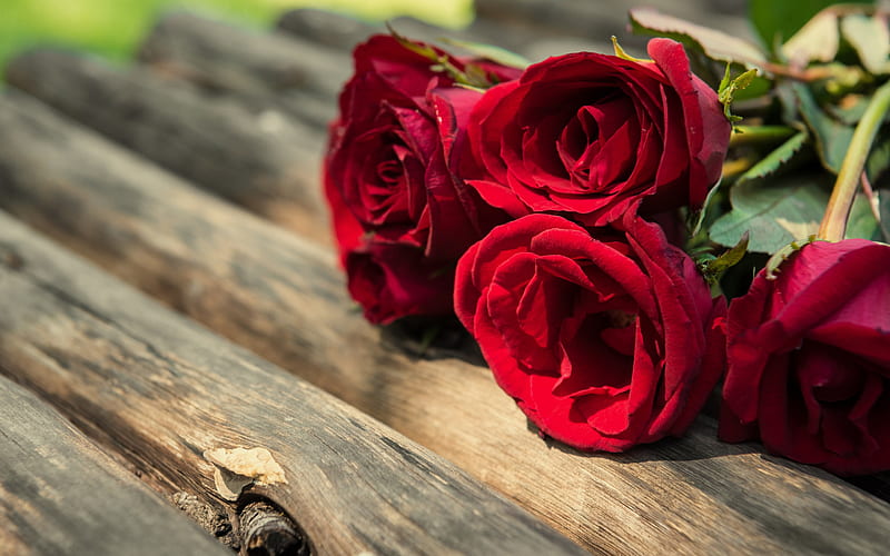 red roses, bouquet of roses, red flowers, romance, HD wallpaper