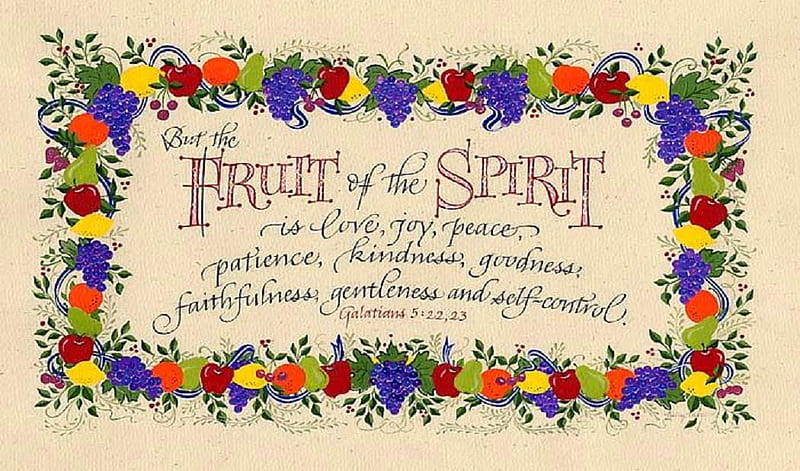 Fruit of the spirit., kindness, faithfulness, peace, joy, galatians, fruit, patience, gentleness, love, self control, bible, wisdom, goodness, scripture, HD wallpaper