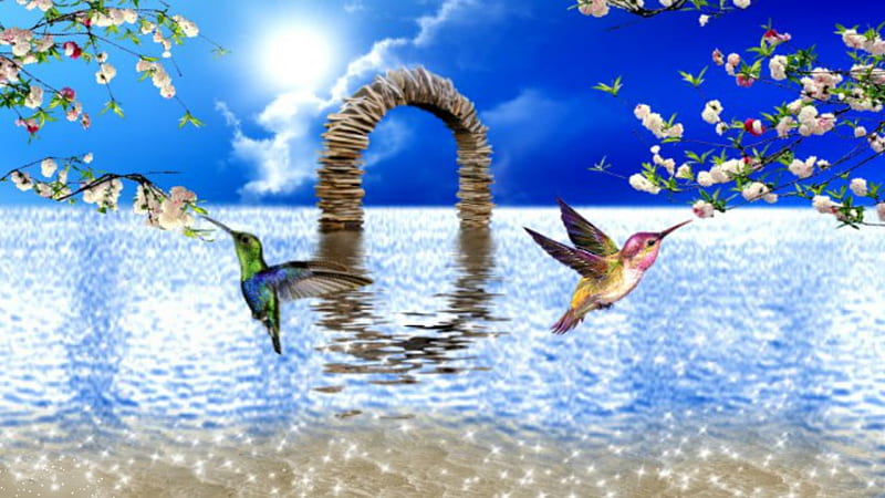 ~*~ Beyond The Horizon ~*~, beach, hummingbirds, ocean, flowers, suny day, blue sky, HD wallpaper