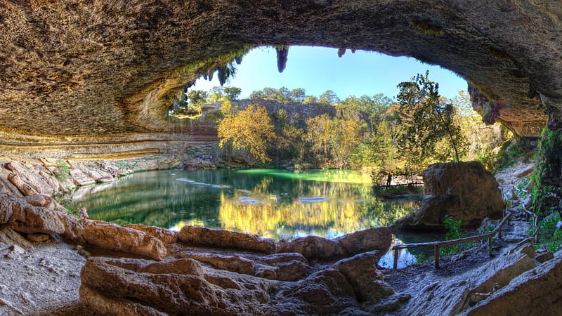 inside the grotto in hamilton pool r, cavern, cliff, r, grotto, trees, pool, HD wallpaper