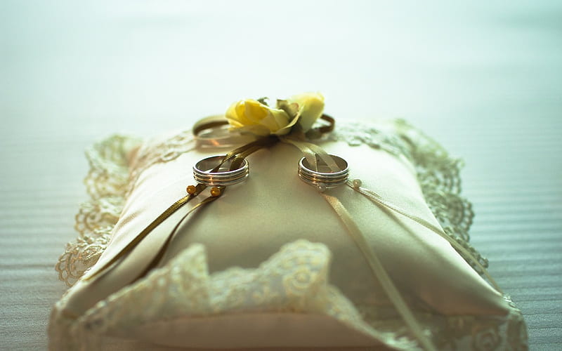 Wedding rings, pillow, yellow roses, wedding, HD wallpaper