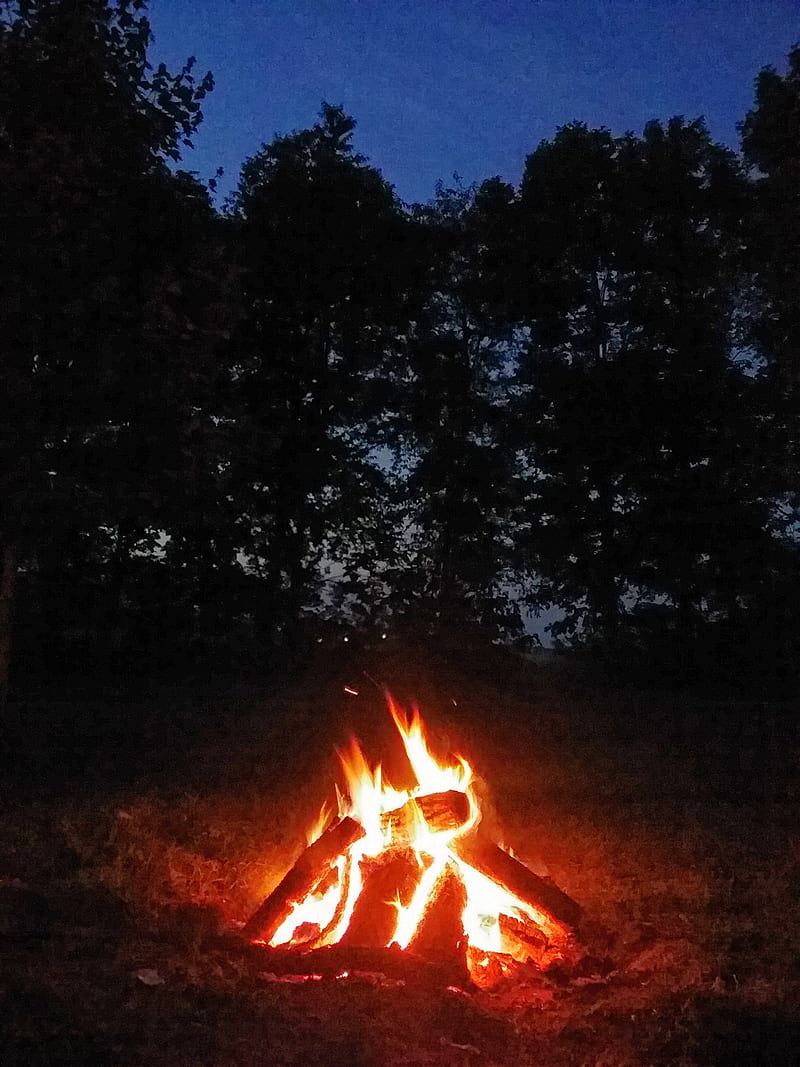 Fire, bonfire, flames, night, relaxation, HD phone wallpaper