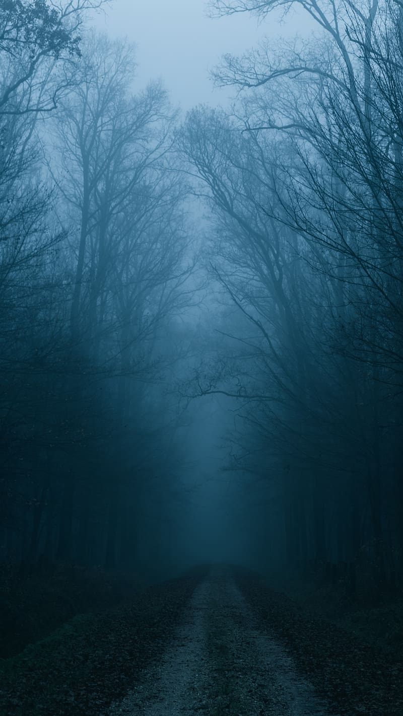 Bhoot, Darkness, Forest, HD phone wallpaper