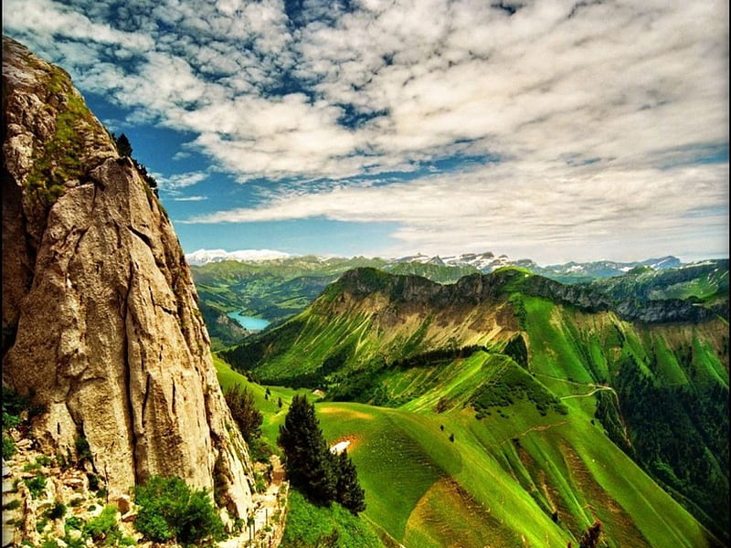 green velvet, mountain, nature, fun, field, HD wallpaper
