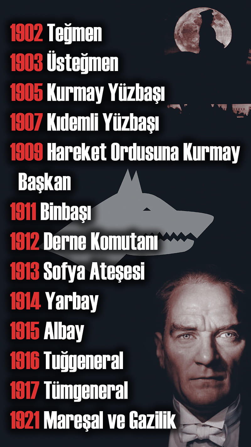 ATATURK, baskomutan, cumhuriyet, osmanli, turk, turkey, turkish, turkish , turkiye, HD phone wallpaper