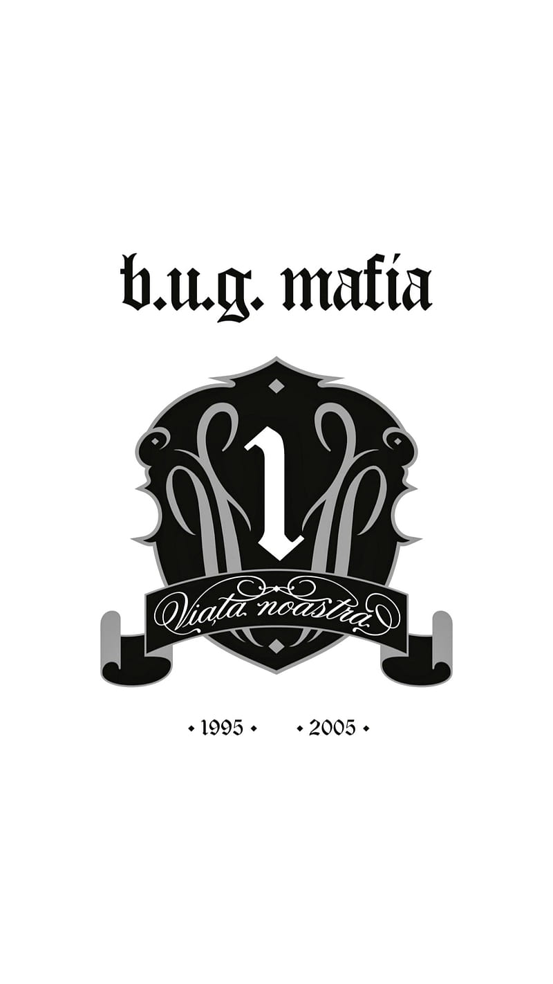 bug mafia VN1, bug mafia, viata noastra, HD phone wallpaper