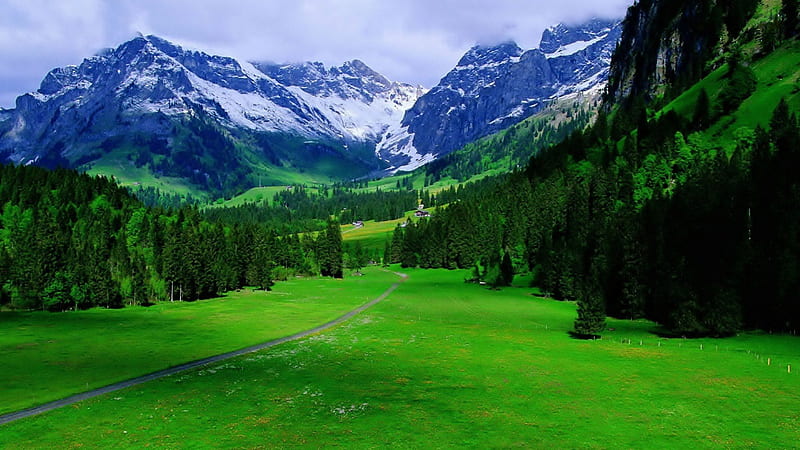 trail up a an alpine valley, green, mountains, trail, trees, overcast, valley, HD wallpaper