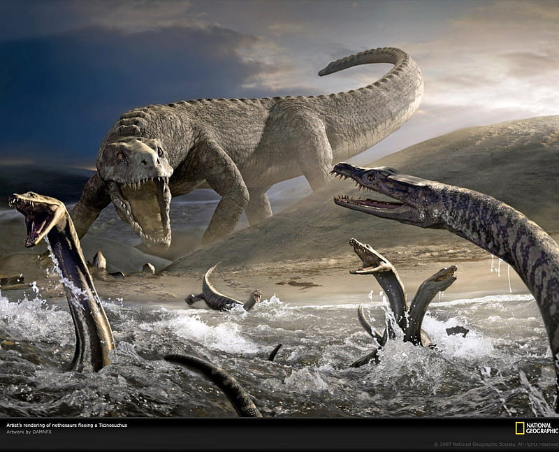 Nothosaurs fleeing a Ticinosuchus, national geographic, nice, paleontology, lizard, scare, scary, reptile, ocean, sky, water, cool, awesome, great, triassic, bonito, sea animal, t-rex, hot, reptiles, prehistory, nothosaurs, animals, ticinosuchus, amazing, foam, dinosaurs, fun, lake, monsters, historic times, drawing, fight, wildlife, prehistoric, monster, nature, dinosaur, HD wallpaper