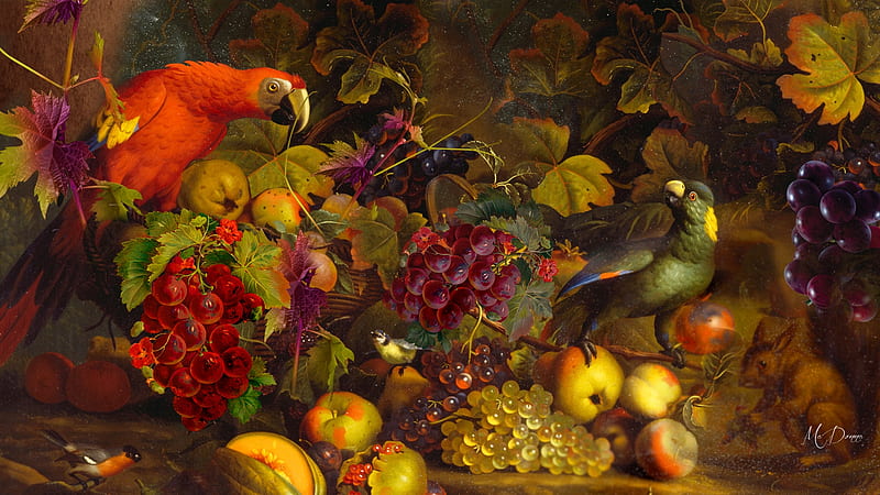Still Life, seeds, fruit, grapes, leaves, apples, birds, parrot, pomegranite, Firefox theme, HD wallpaper