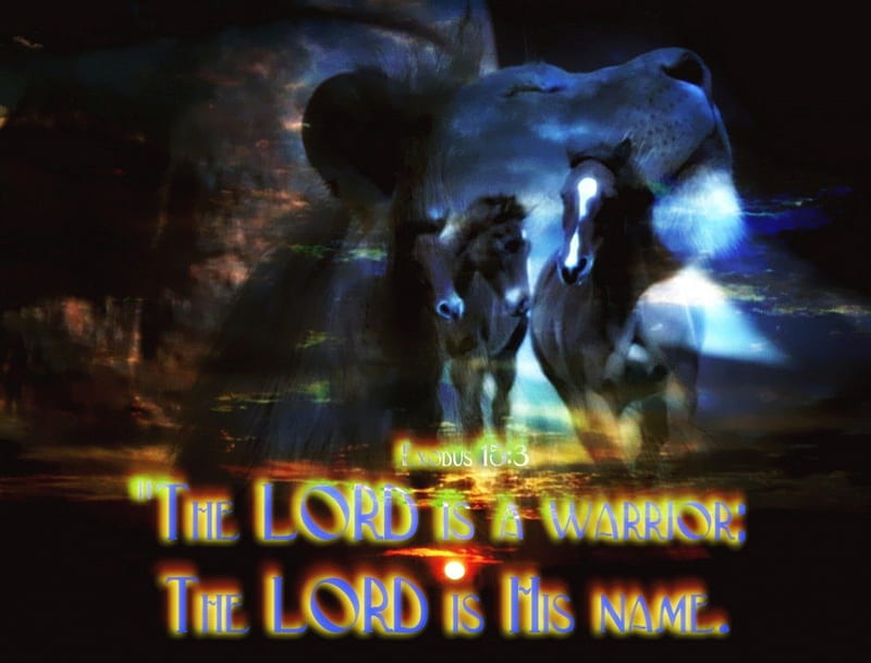 A Warrior, bible verses, horse, lion, horses, jesus, warrior, scriptures, bible, god, lions, holy spirit, HD wallpaper