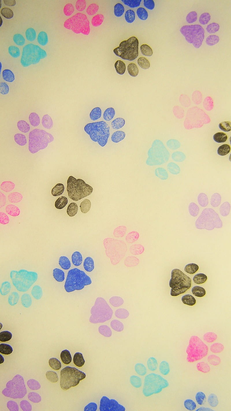 Paw Print, animal, cat, dog, glitter