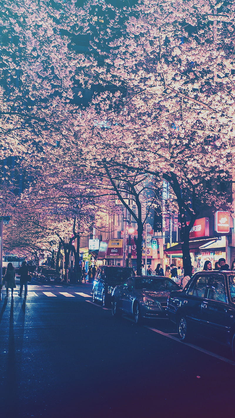 Japan Night, street, purple, trees, HD phone wallpaper