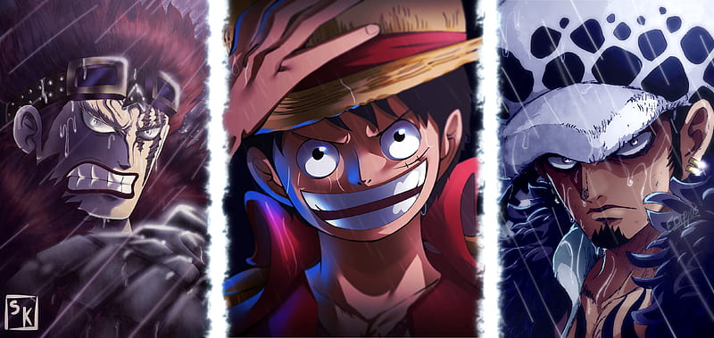 One Piece Team Art, HD wallpaper