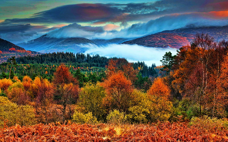 Trossachs National Park autumn, R, beautiful nature, Scotland, Great Britain, mountains, HD wallpaper