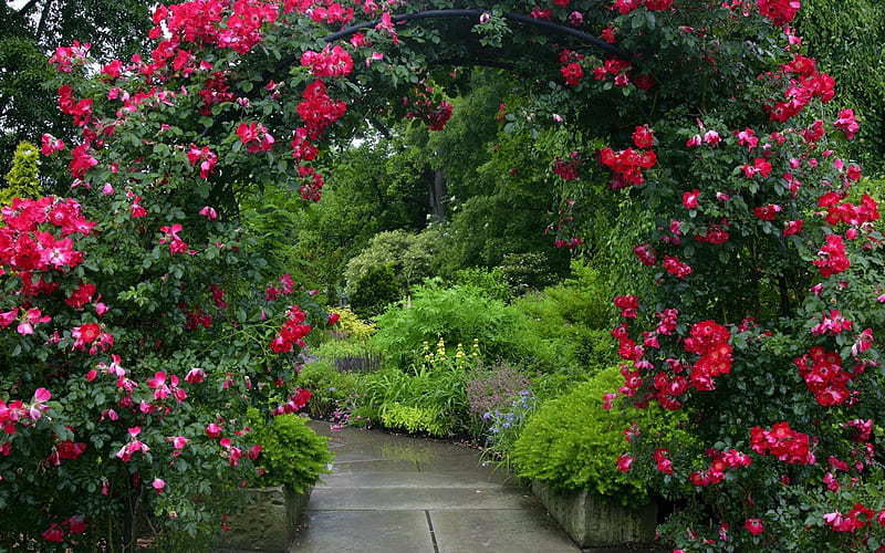 Garden Path, pretty, flowers, path, garden, nature, HD wallpaper