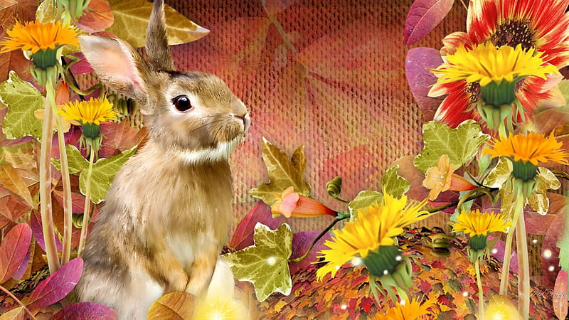 Bunny Autumn Day, burlap, fall, rabbit, autumn, orange, dandelions, leaves, gold, bright, flowers, bunny, HD wallpaper