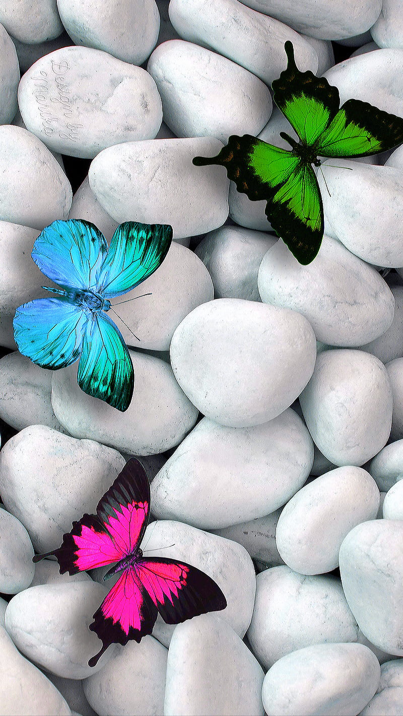 Butterflies, butterfly, color, nature, pebbles, stones, HD phone wallpaper