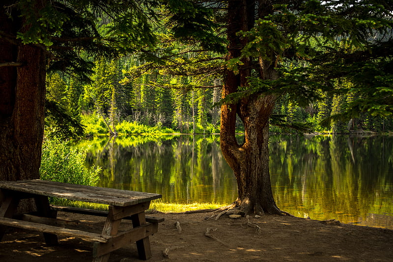 Beautiful Forest Lake, HD wallpaper