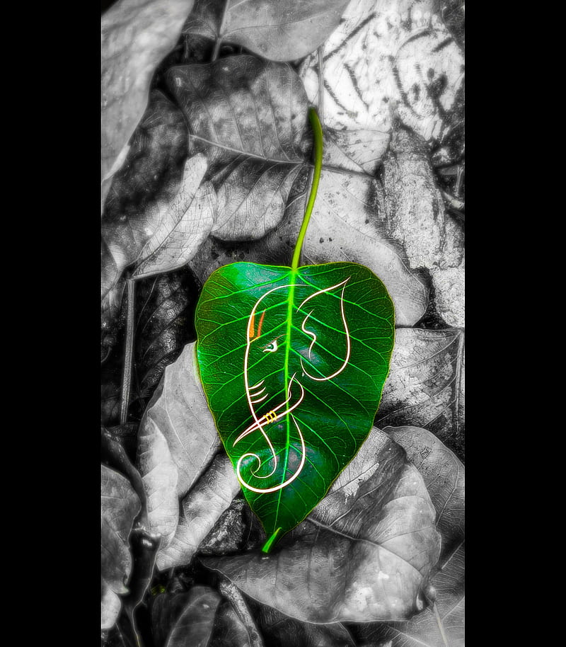 Ganpati, beautifully, ganpati bappa, god, greenery, leaf, love, peace, HD phone wallpaper