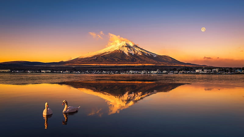 Mount Fuji, Lake, Swans, Fuji, The Moon, Mountain, HD wallpaper