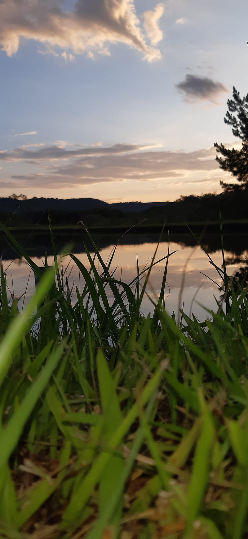 Lago, agua, cesped, cielo, colores, hermoso, lagos, paisaje, pasto, rio,  Fondo de pantalla de teléfono HD | Peakpx