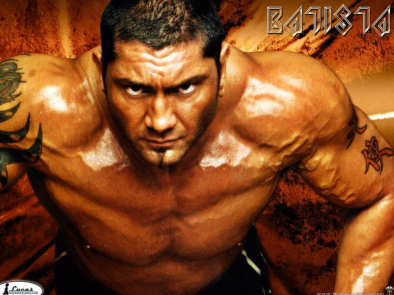 Dave Batista, world heavyweight champion, professional wrestler, HD  wallpaper | Peakpx