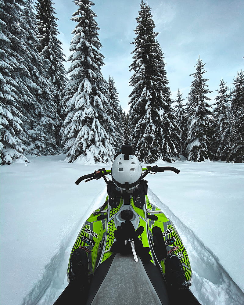 snowmobile, snow, trees, winter, HD phone wallpaper