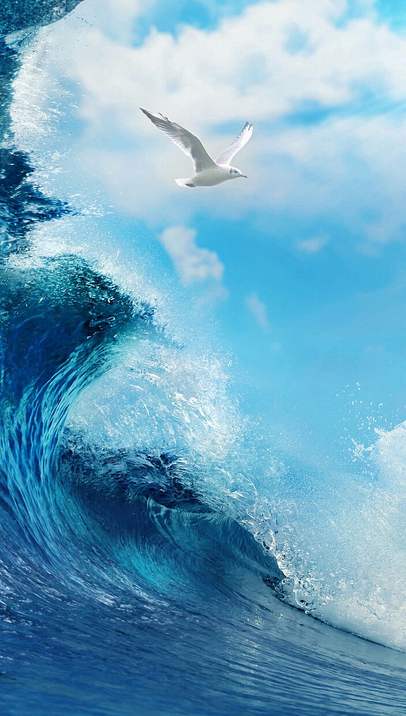 Sea waves, bird, clouds, dove, nature, sky, water, HD phone wallpaper |  Peakpx