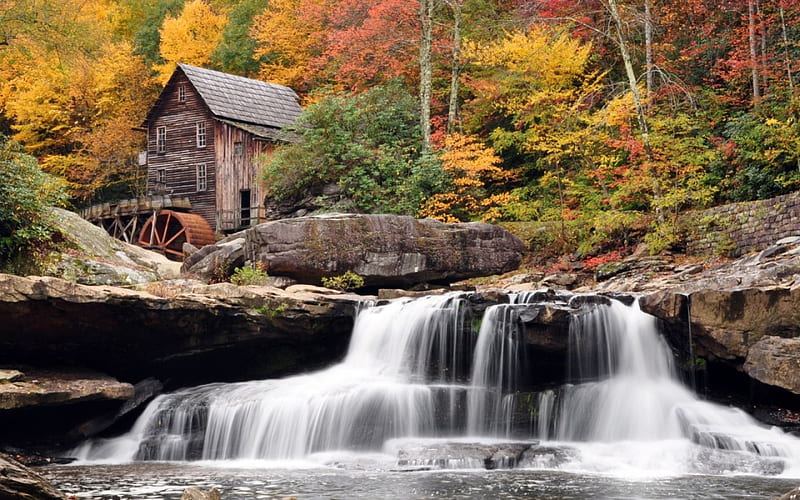 Old Mills Falls, architecture, autumn, house, grass, ground, wheels, metal, steel, land, wood, falls, forest, trees, water, milld, day, nature, HD wallpaper