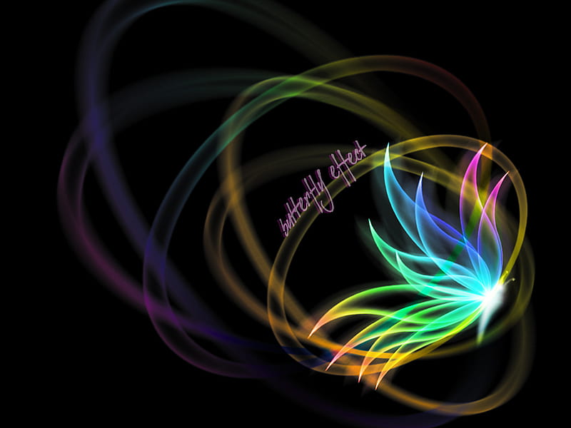 Butterfly Effect, colorful, neon light, black, abstract, 3d, butterfly,  multicolor, HD wallpaper | Peakpx