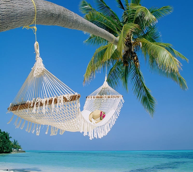 island heaven, background, beach, coco, palm, place, sand, sleeping, HD wallpaper