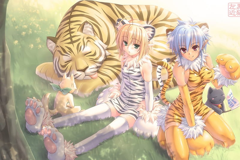 Kawaii, hembra, anime, tigre, chicas, animal, Fondo de pantalla HD | Peakpx