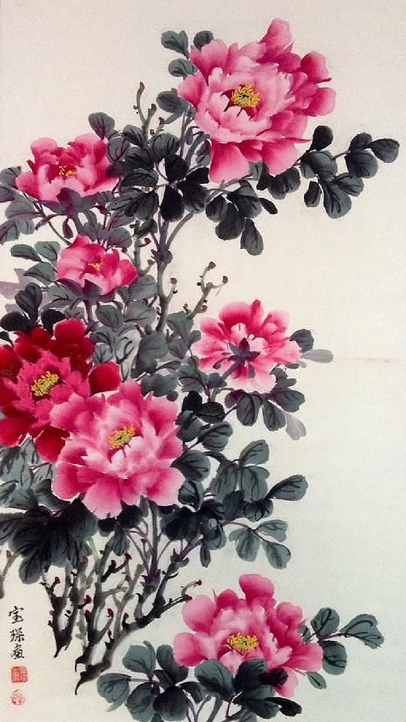 Peony Flower, HD phone wallpaper