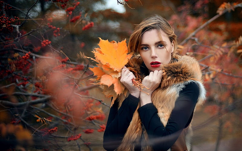 rowan, girl, autumn portrait, leaves, HD wallpaper