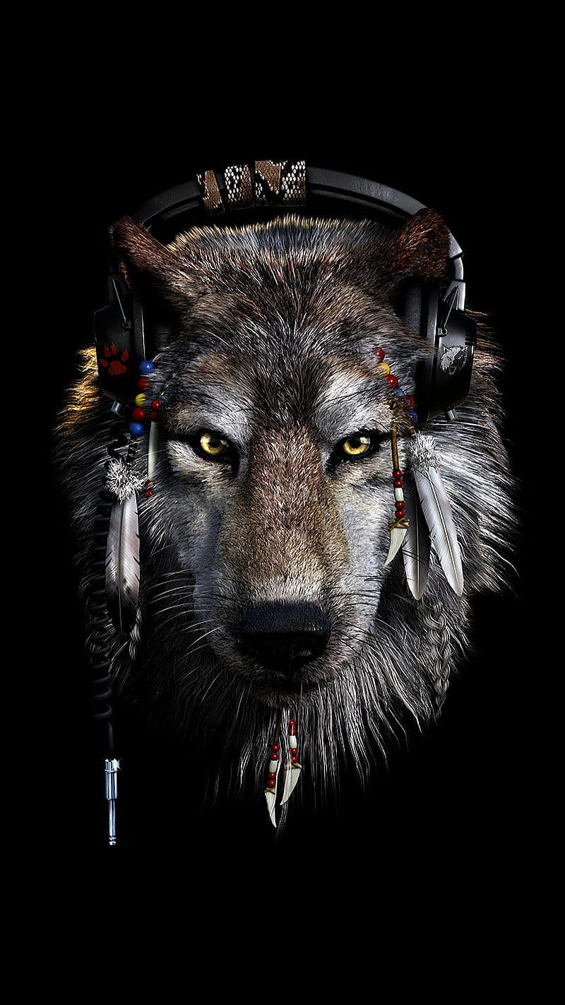 wolf, animal, catcher, dream, face, head, phone, wild, HD phone wallpaper