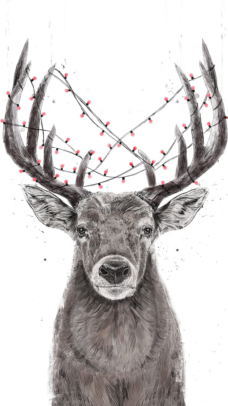 Christmas reindeer, christmas, christmas background, christmas spirit, christmas , deer, reindeer, simple, HD phone wallpaper