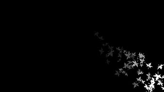 White Leaves On Side With Dark Black Background Black Aesthetic, HD  wallpaper | Peakpx