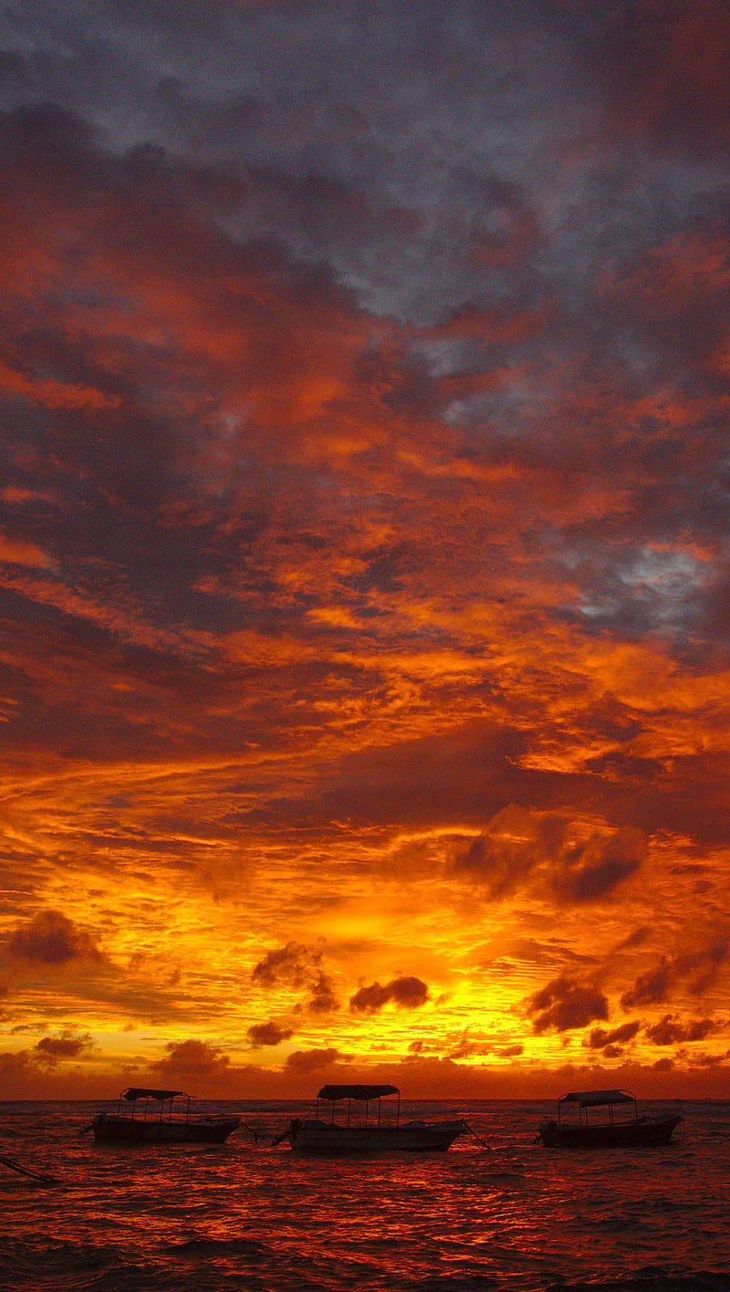 Sunset Sri Lanka, boat, cloud, hikkaduwa, ocean, sea, sri lanka, HD phone wallpaper