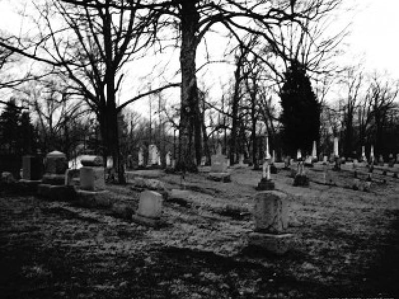 Cemetery, graveyard, death, dark, HD wallpaper
