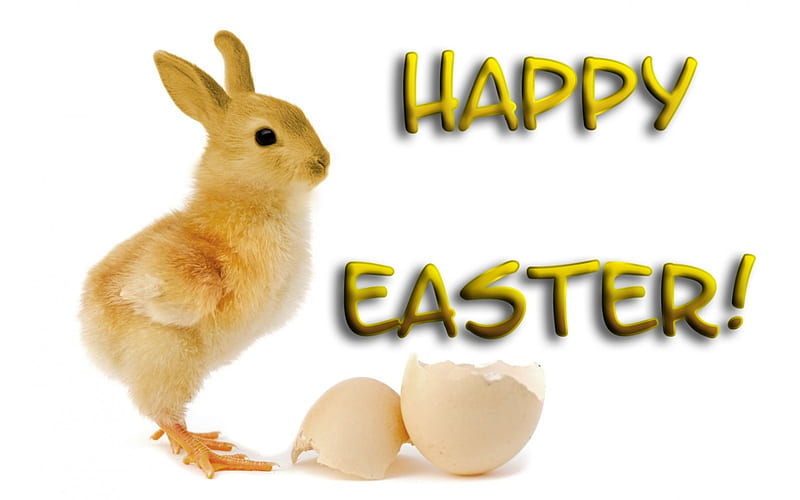 Happy Easter!, rabbit, chicken, golden, ears, easter, animal, card, cute, egg, bunny, funny, HD wallpaper