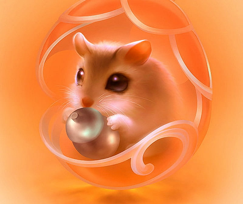 Cute Hampy.. :-), litle, lovely, hamster, orange, small, beautyful, cute, nice, color, HD wallpaper