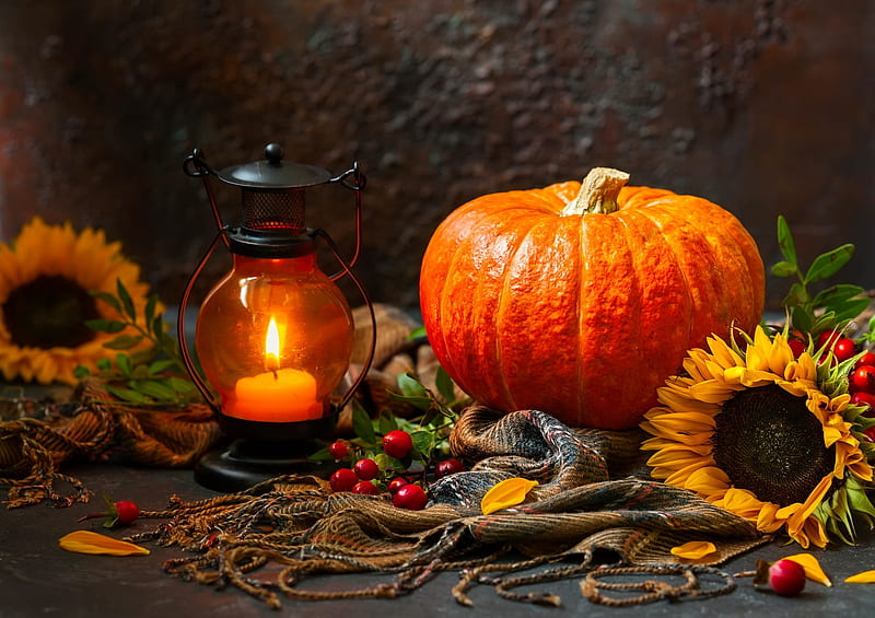 Fall still life, candle, pretty, fall, autumn, lantern, bonito, sunflower, still life, pumpkin, light, HD wallpaper