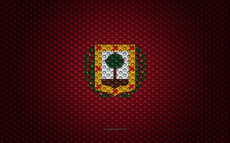 Flag of Biscay creative art, metal mesh texture, Biscay flag, national symbol, provinces of Spain, Biscay, Spain, Europe, HD wallpaper