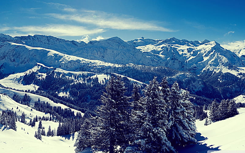 winter scenery-the cold winter landscape, HD wallpaper
