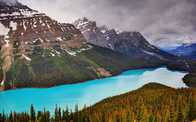 Peyto Lake, glacier-fed lake, forest, mountain lake, mountain landscape, Banff National Park, Canadian Rockies, alberta, Mistaya River, Canada, HD wallpaper