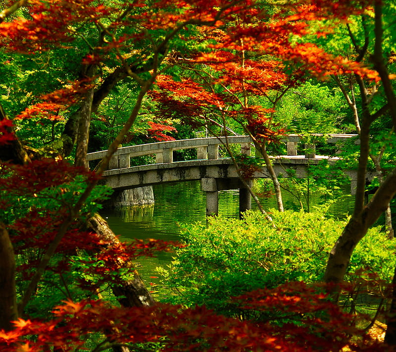Nature, bridge, flower, HD wallpaper | Peakpx