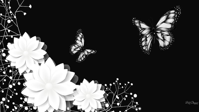 Black And White Beauties, black and white, flowers, babies breath, rich, butterflies, luxurious, floral, HD wallpaper