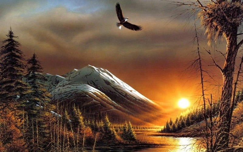 Lakeside Overview, rocks, sun, painting, eagle, sunset, trees, clouds, artwork, HD wallpaper