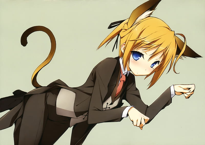 Mayo Chiki, cute, nekomimi, cosplay, subaru konoe, HD wallpaper